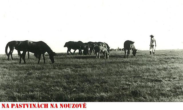 1983 Na pastvine