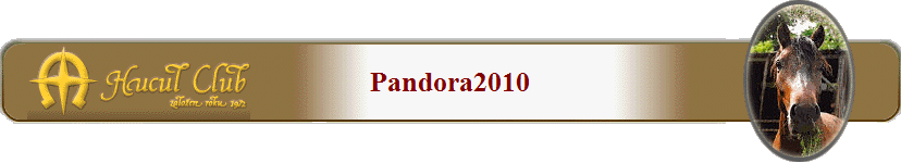 Pandora2010