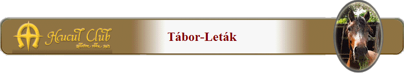 Tbor-Letk