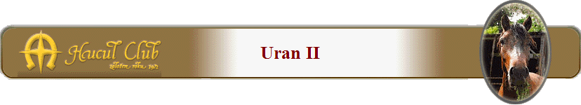 Uran II